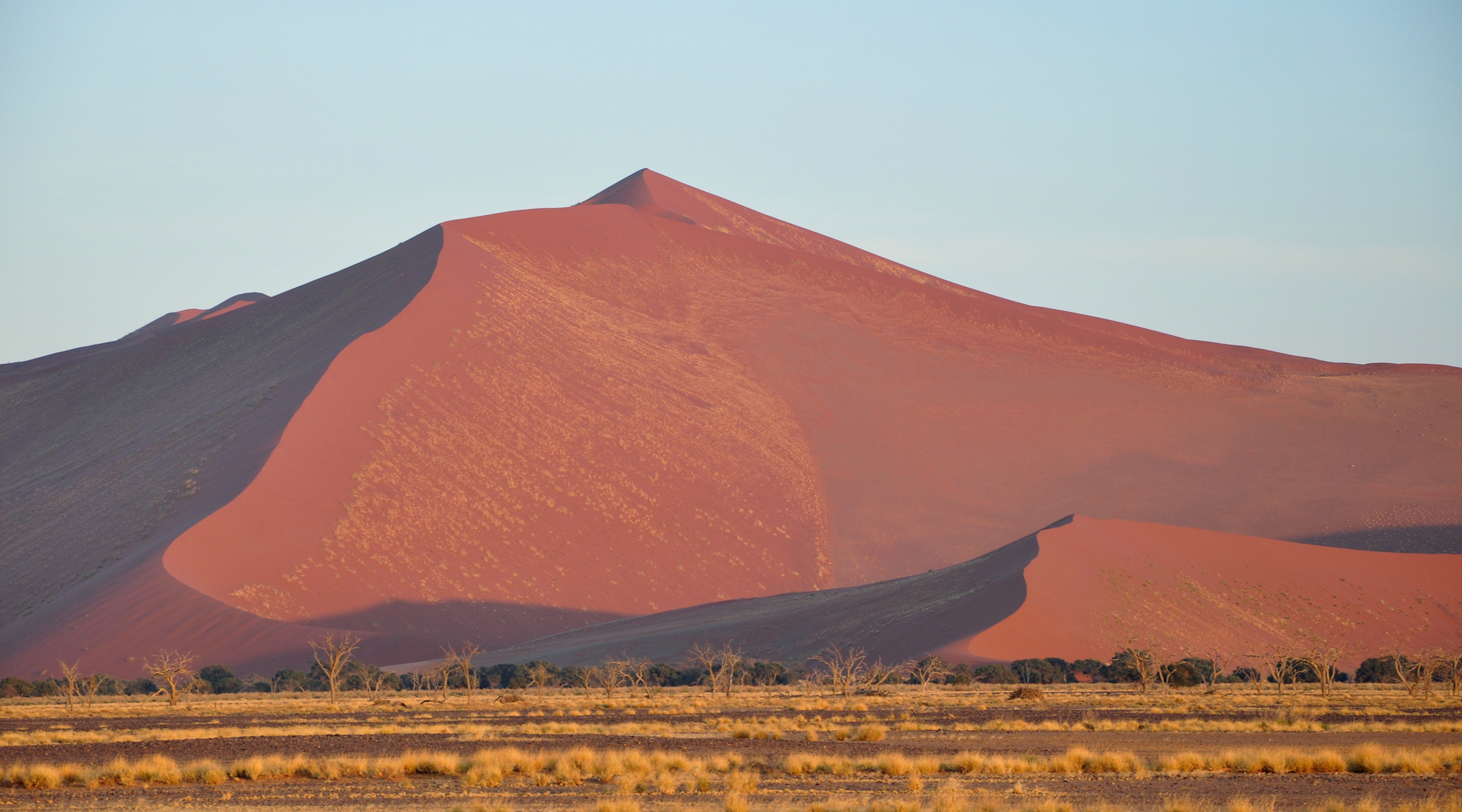 Sanddünen im Morgenlicht