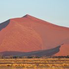 Sanddünen im Morgenlicht