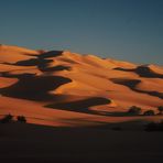 Sanddünen im Morgenlicht,wie sie schöner nicht sein können...