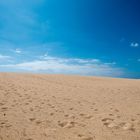 Sanddünen in Corralejo