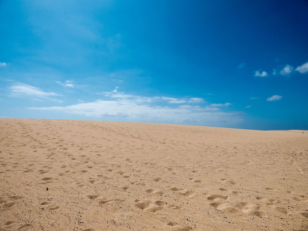 Sanddünen in Corralejo