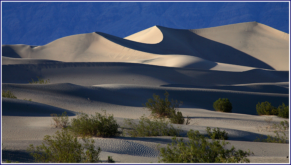 Sanddünen in "Death valley"