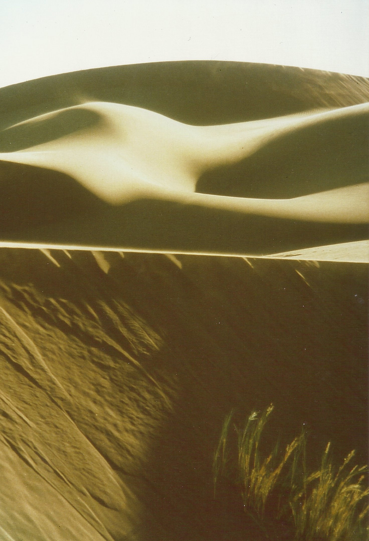 Sanddünen in der Sahara