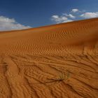 Sanddünen in Dubai, UAE