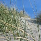 Sanddünen in Holland