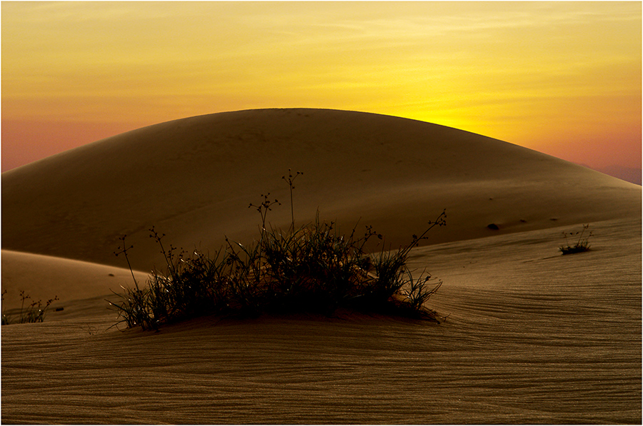 Sanddünen in Muine Vietnam