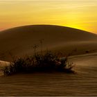 Sanddünen in Muine Vietnam