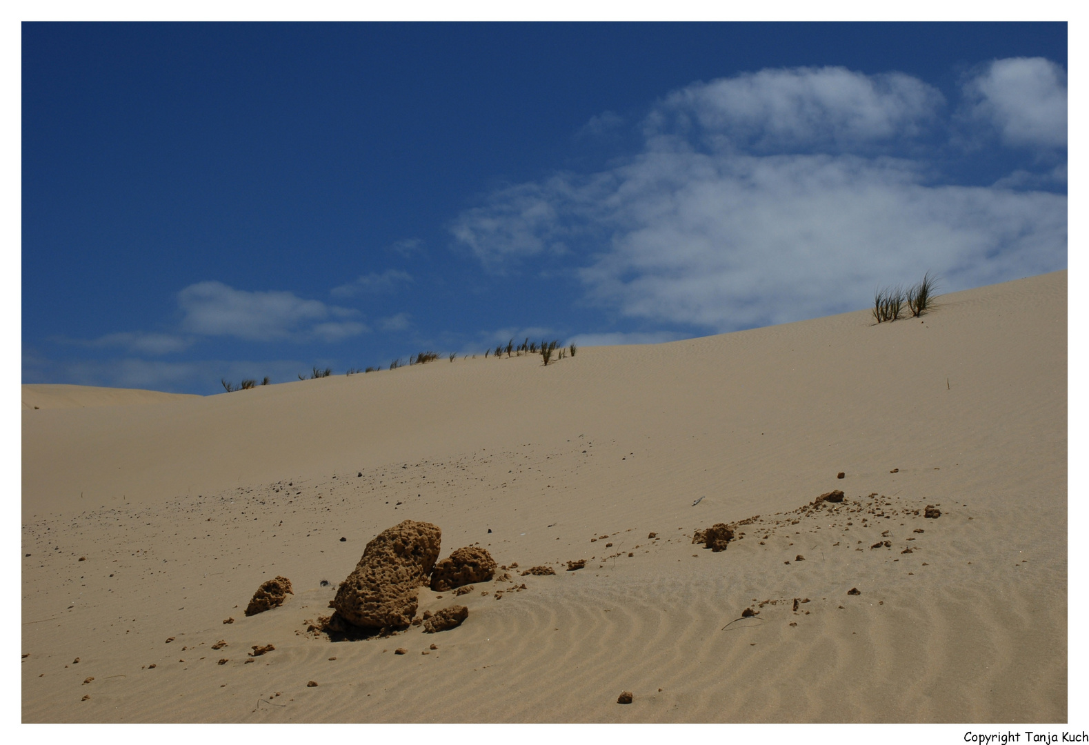 Sanddünen in Neuseeland