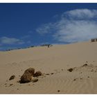 Sanddünen in Neuseeland