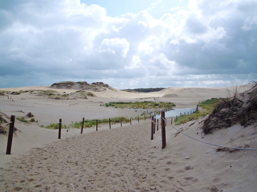 Sanddünen in Polen/Leba