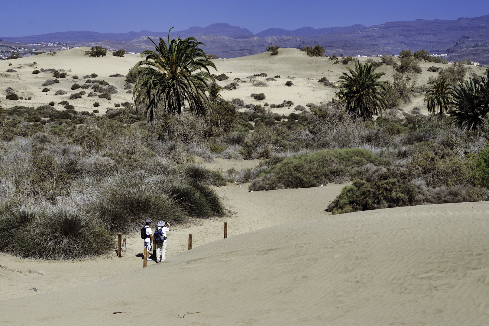 Sanddünen Maspalomas