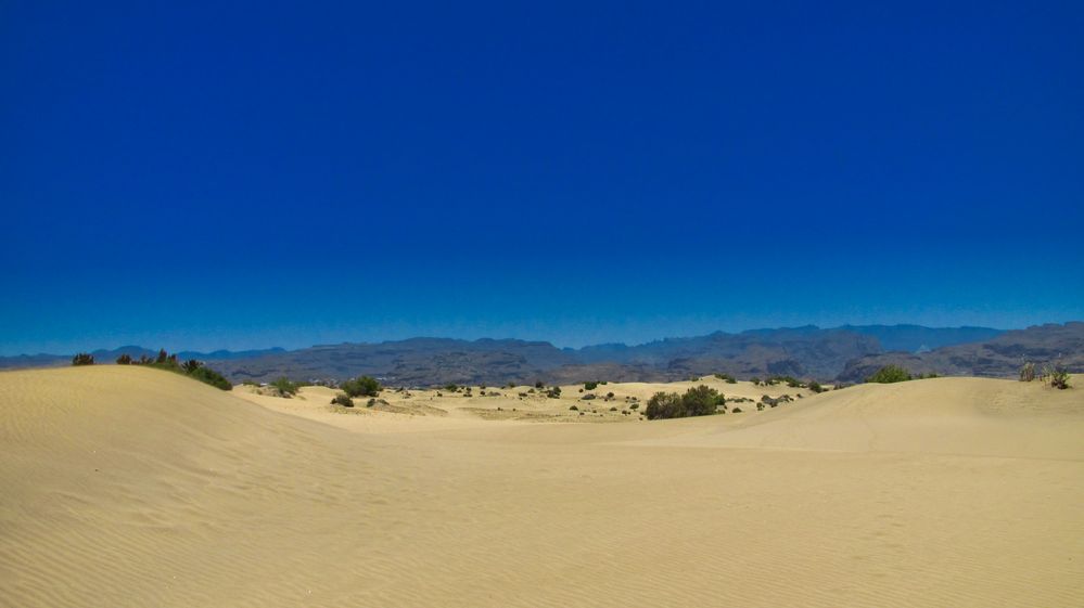 Sanddünen von Mas Palomas