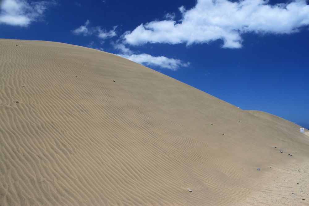 Sanddünen von Mas Palomas