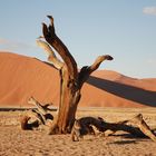 Sanddünen von Sossusvlei...