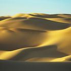 Sanddünen...Impressionen aus der Wüste