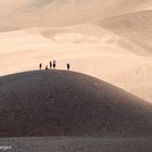 Sanddünenwandern bis nach oben. 20120715