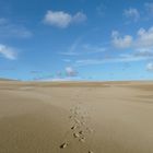 Sanddunes