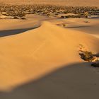 *sanddunes I*