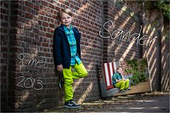 Sander