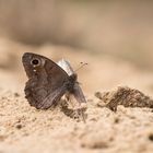 Sandflächen....................