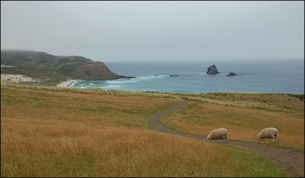 Sandfly Bay