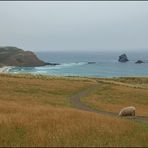 Sandfly Bay