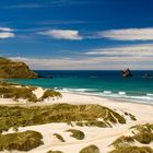 Sandfly Bay - Otago Peninsula - Neuseeland - Südinsel