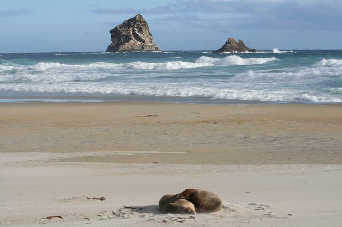 Sandfly Beach