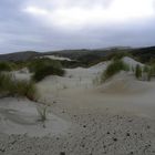 Sandfly-Beach auf der Otago Peninsula