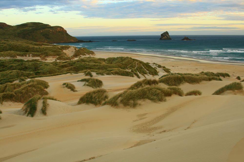 Sandfly Beach Neuseeland