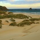 Sandfly Beach Neuseeland