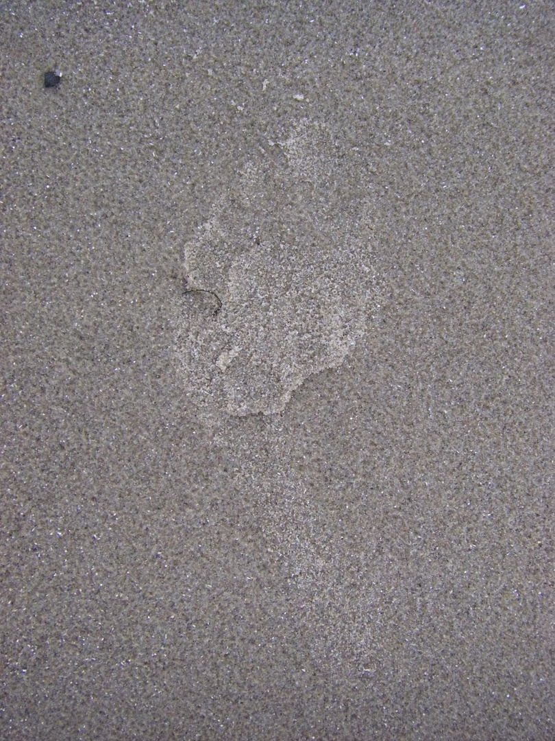 Sand(fte) Spur