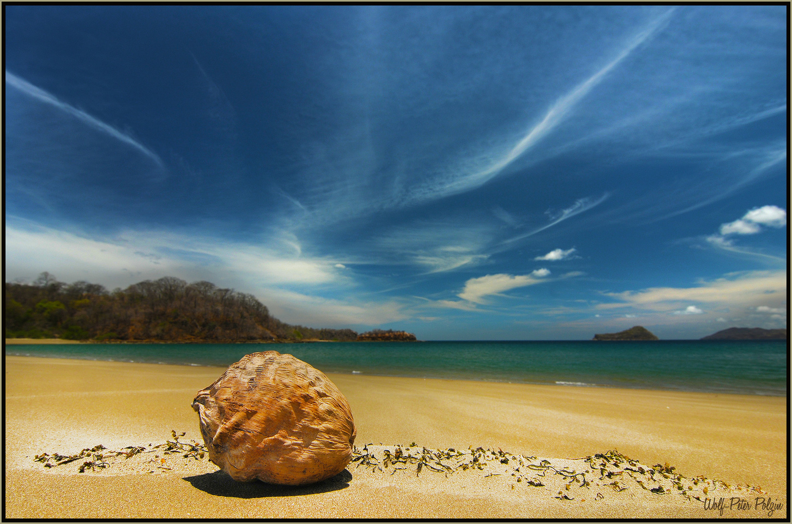 Sandgestrahlt: Kokosnuss am Strand (Playa Junquillal, Costa Rica)