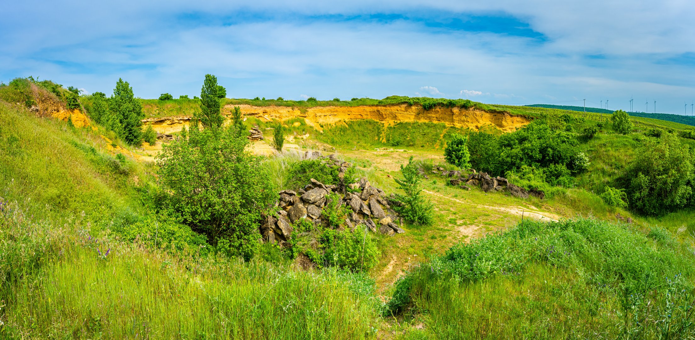 Sandgrube bei Wendelsheim (1)