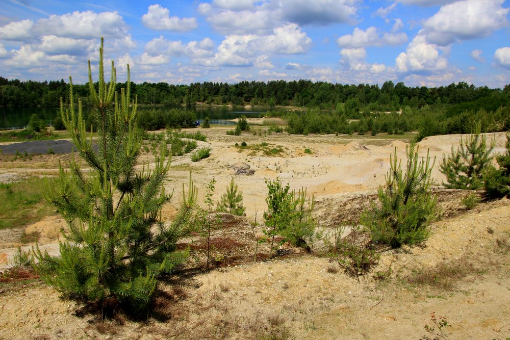 Sandgrube in Kleinsaubernitz bei Bautzen