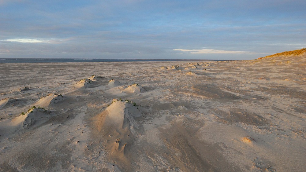 sandhügel am nordseestrand