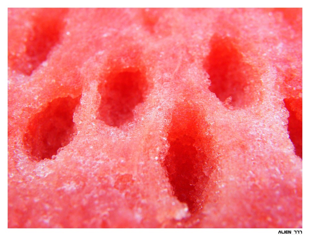 Sandia