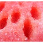 Sandia