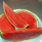 sandia