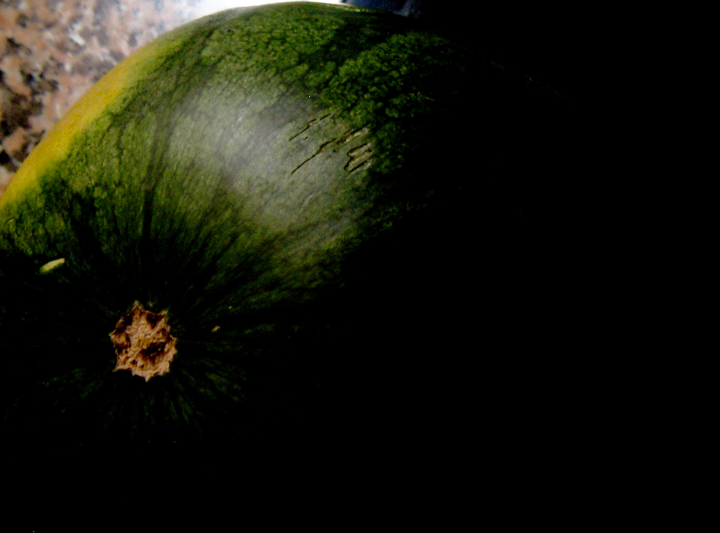 Sandia en la sombra