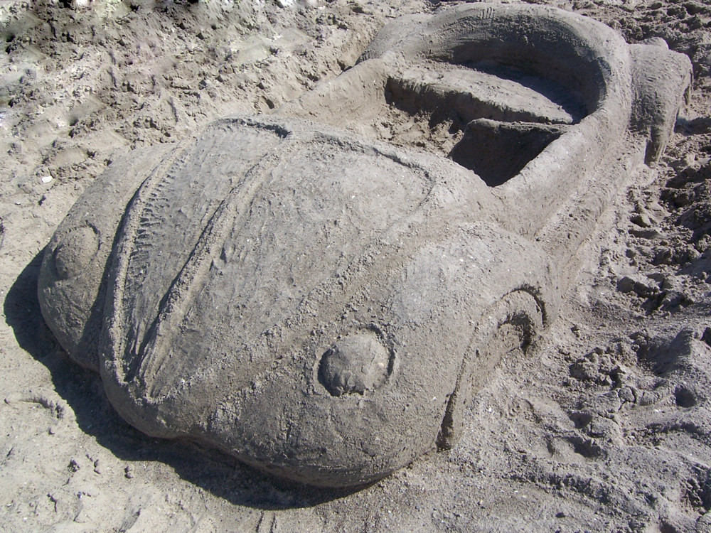 Sandkäfer an der Ostsee