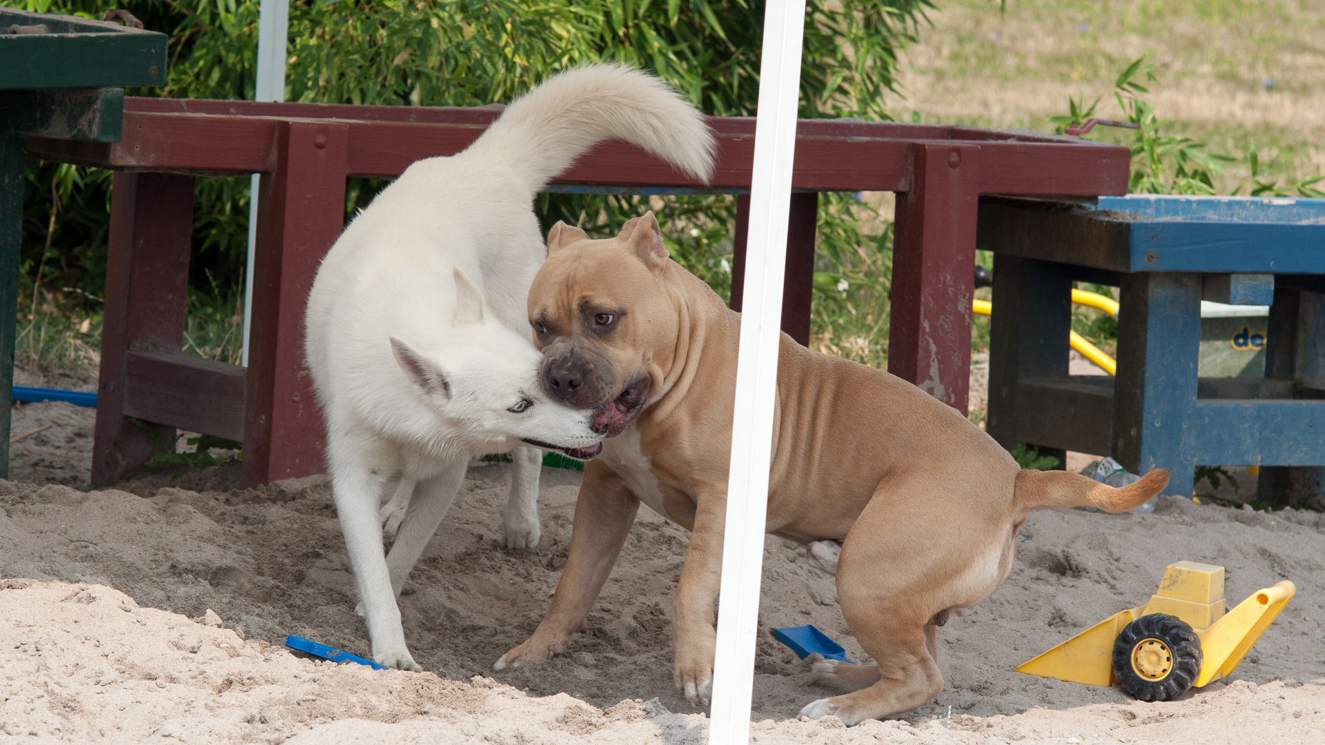 Sandkastenliebe