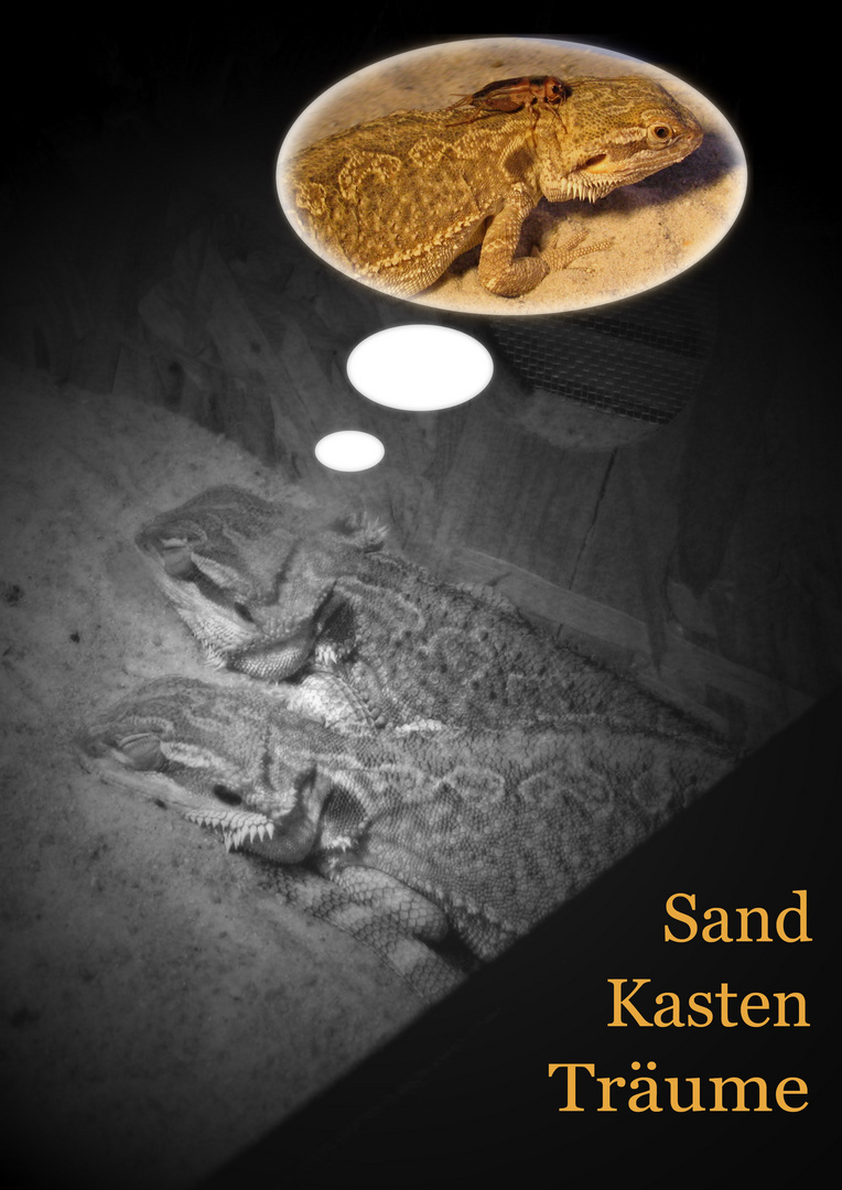 Sandkastenträume