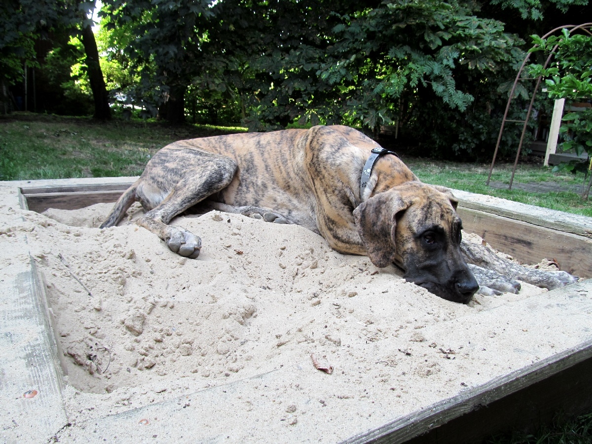 Sandkisten - Königin !!!