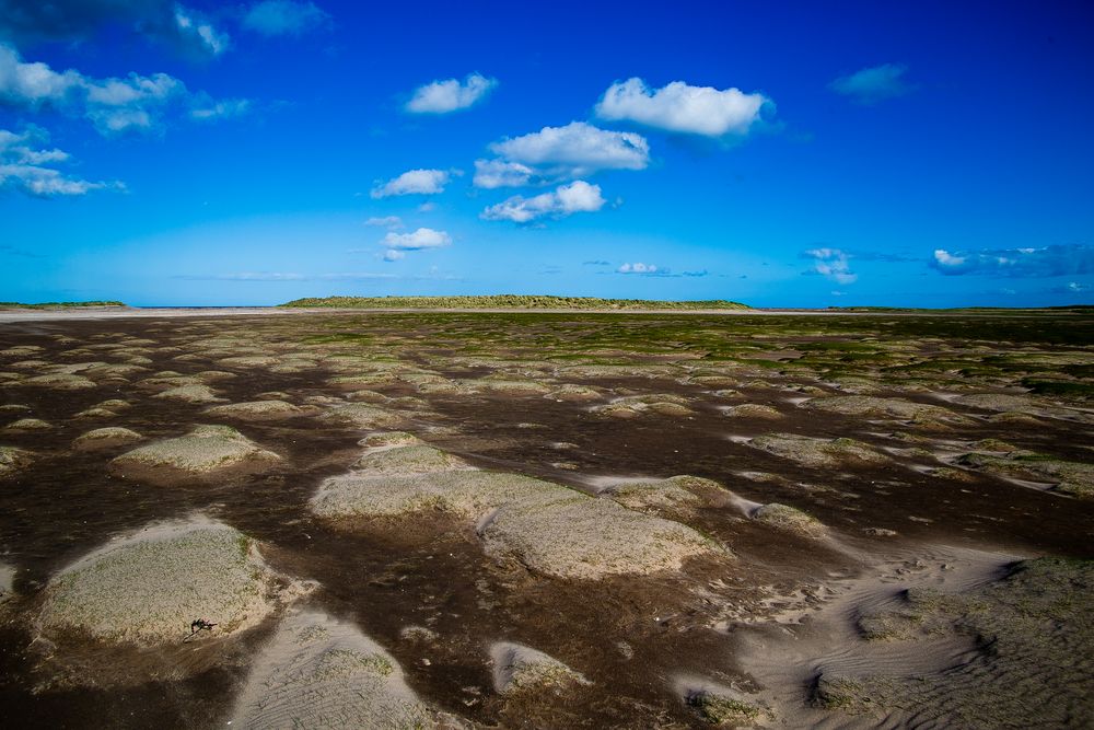 Sandlandschaft