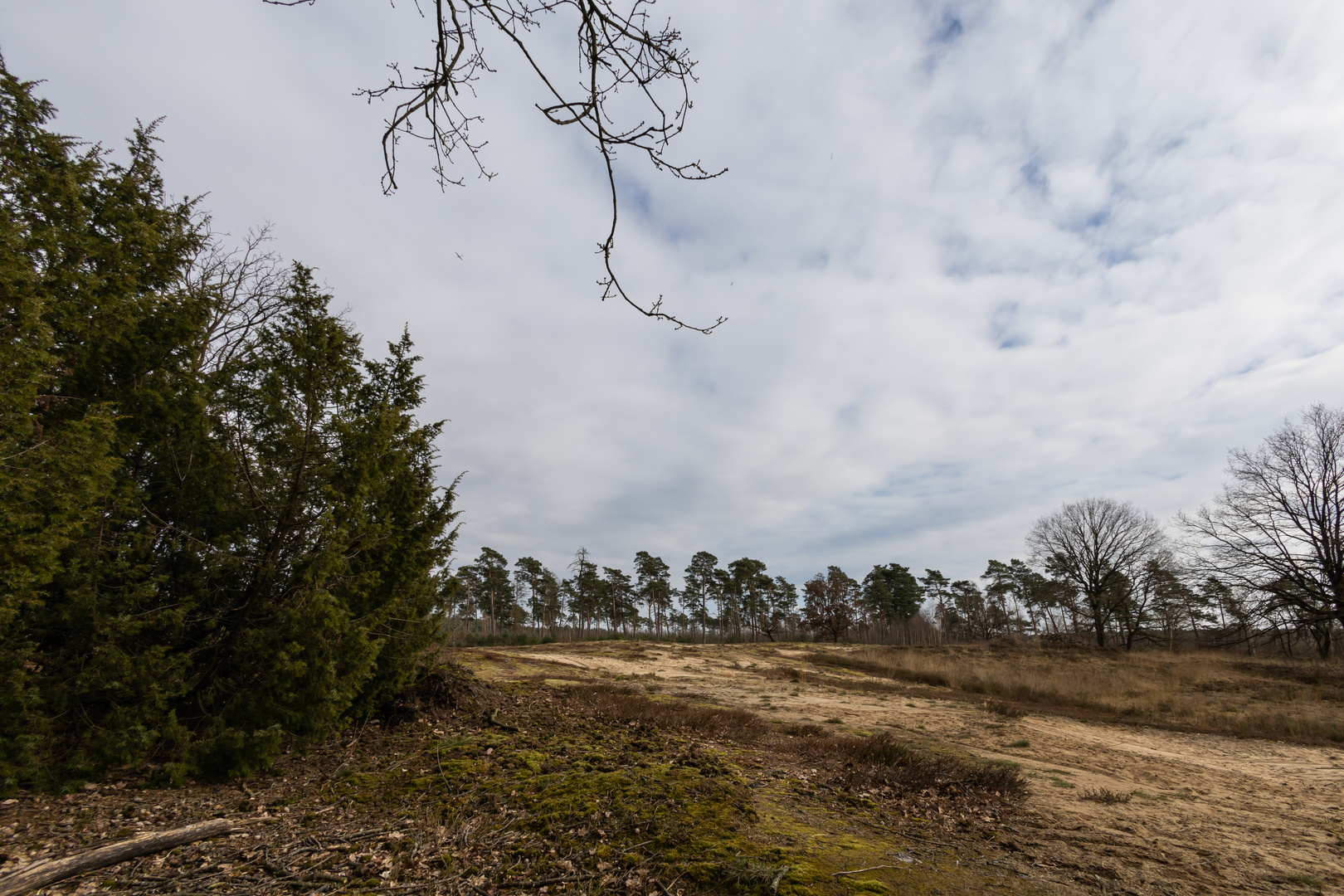 Sandlandschaft mit Flieger