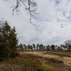 Sandlandschaft mit Flieger