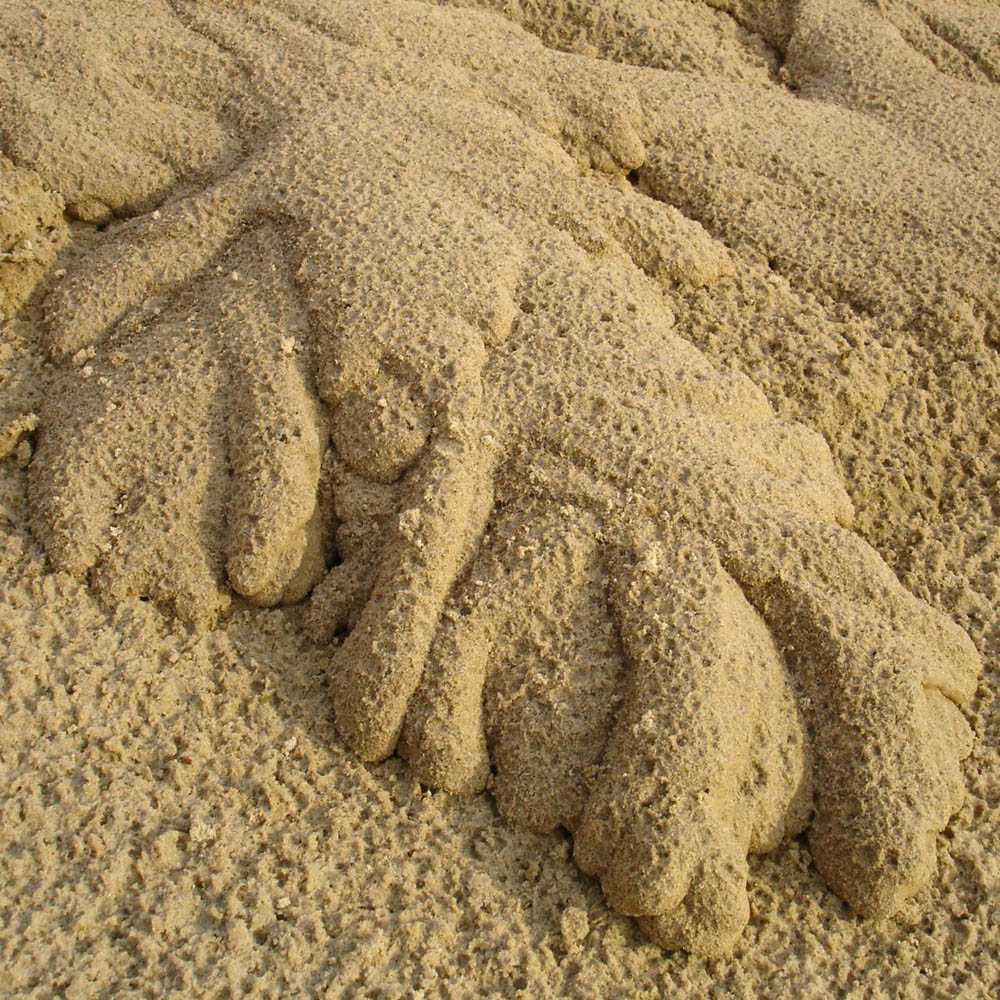 Sandlauf