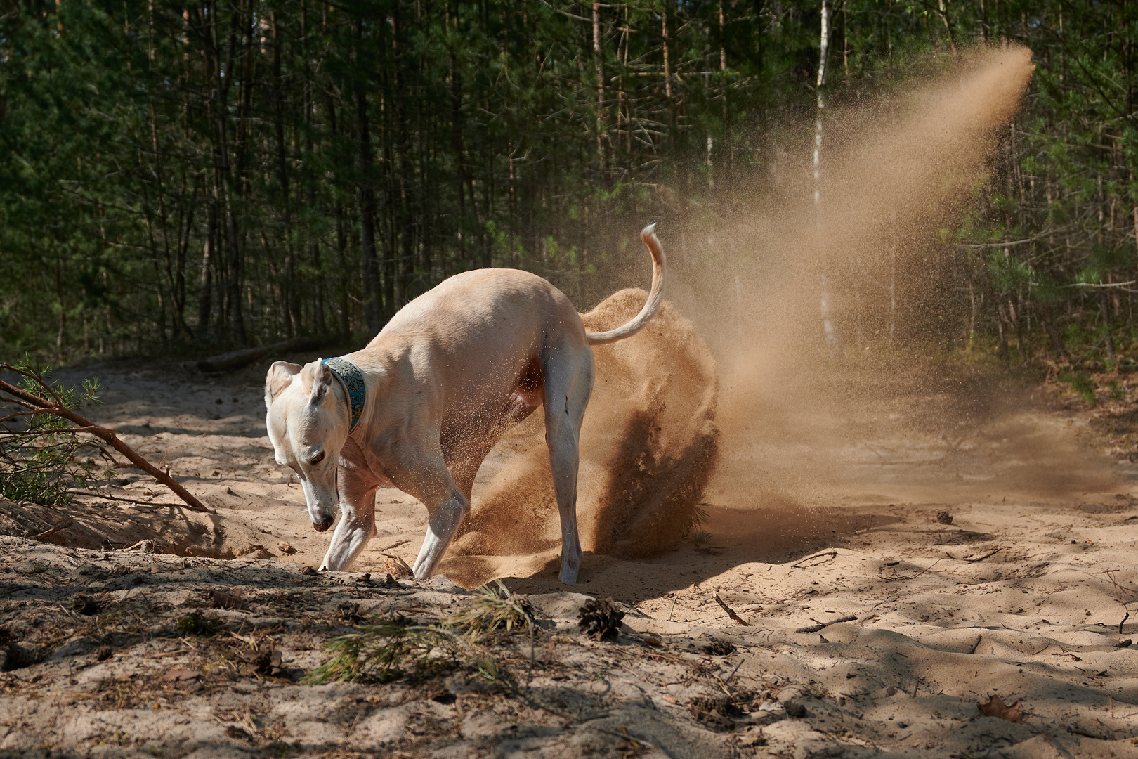 Sandmoleküle