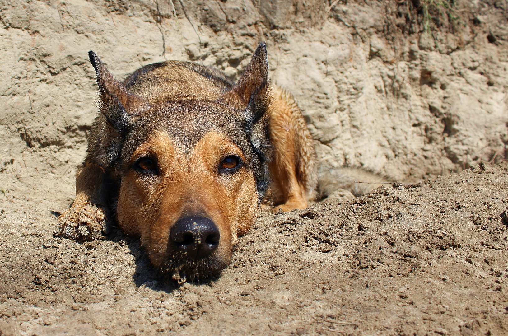 Sandmonster